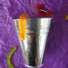 Bucket – front with snakes (300 pixels 72 dpi)